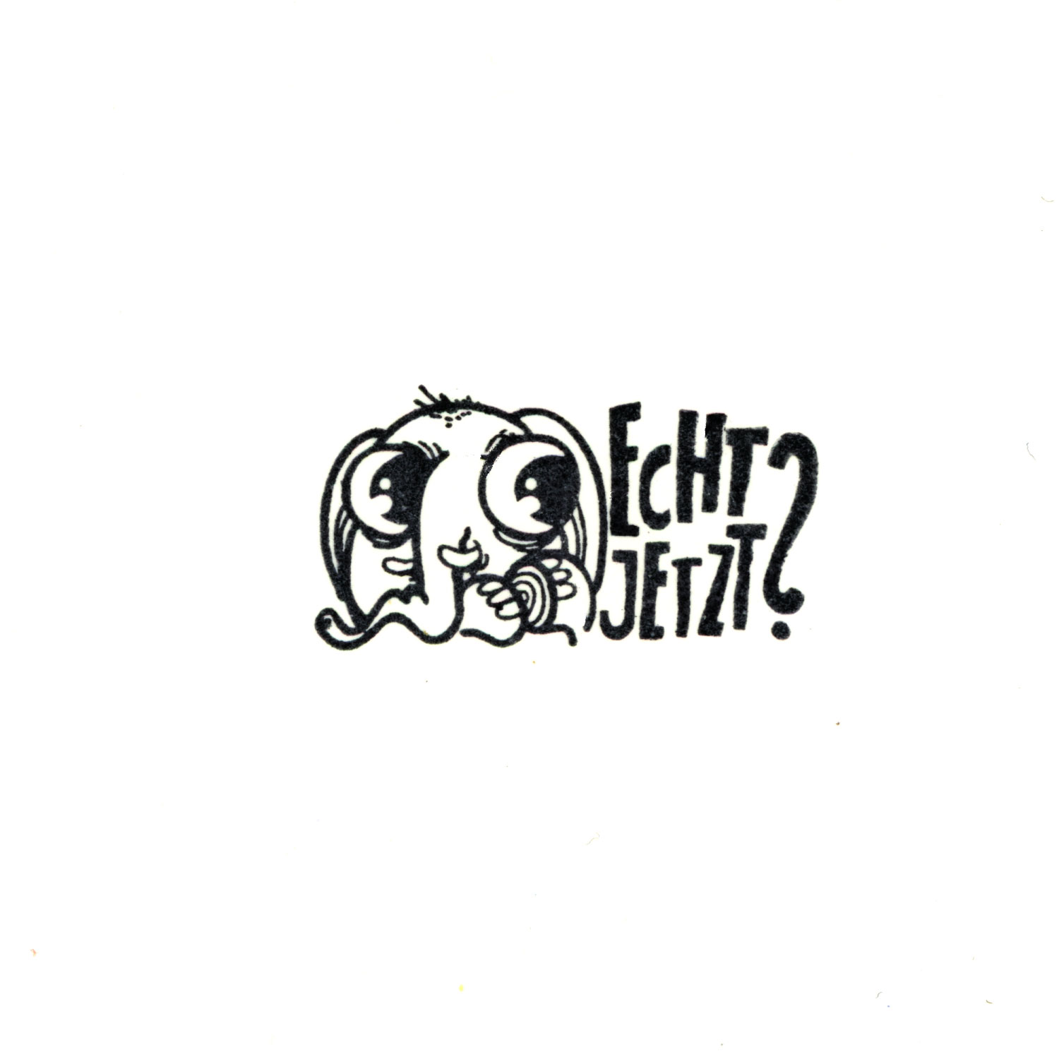 echt jetzt? / Einzelstempel /2x4cm