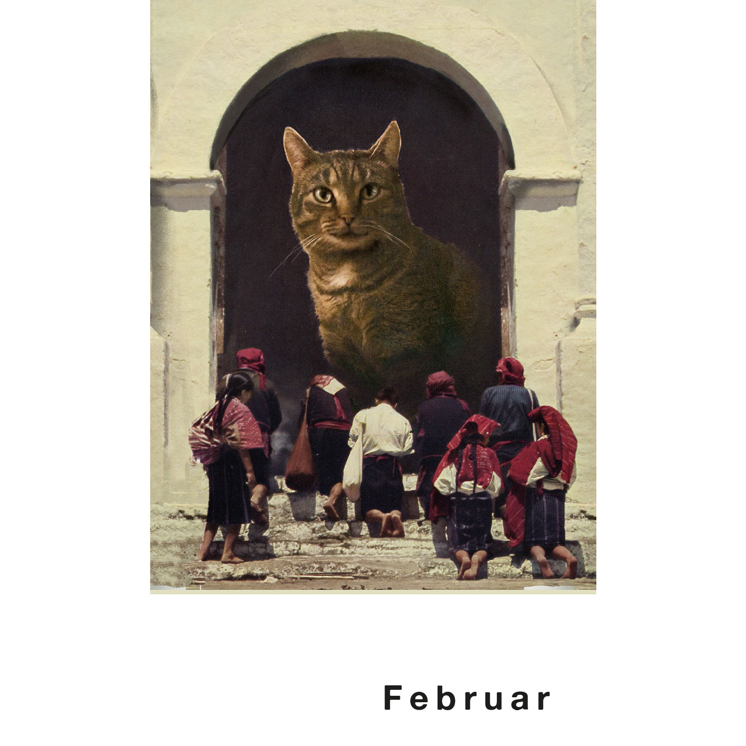 Streuner 4, Postkartenkalender Streuner 4, Postkartenkalender