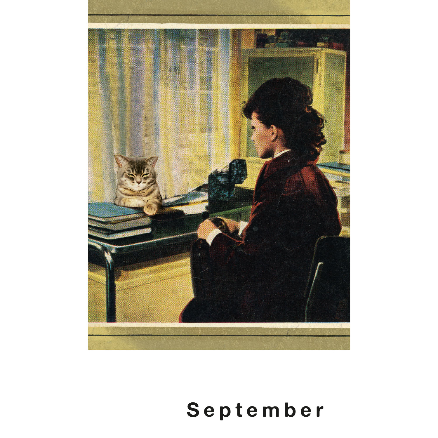 Streuner 4, Postkartenkalender Streuner 4, Postkartenkalender