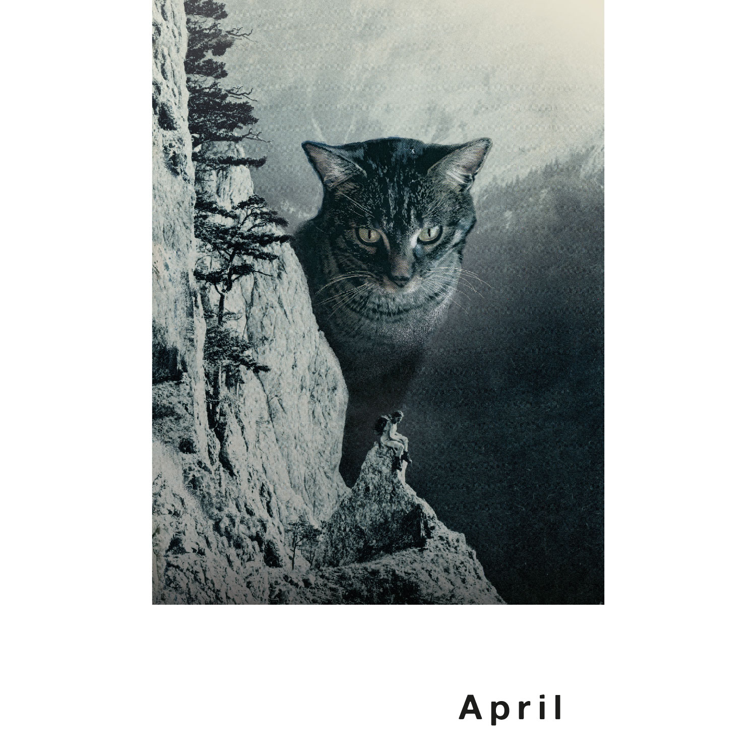 Streuner 4, Postkartenkalender Streuner 4, Postkartenkalender
