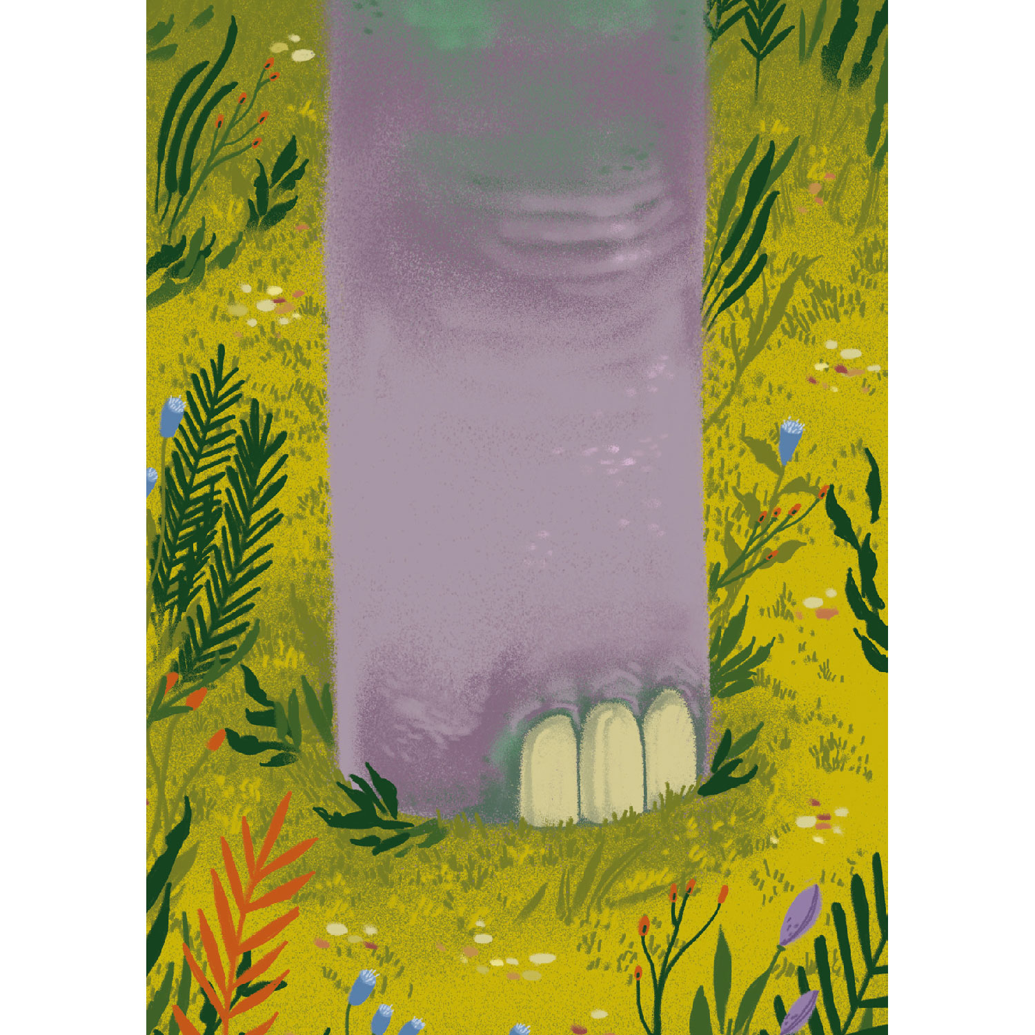 Wiese, Postkarte