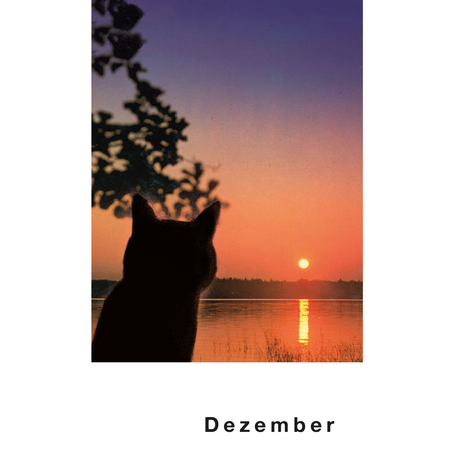 Streuner 4, Postkartenkalender Streuner 4, Postkartenkalender