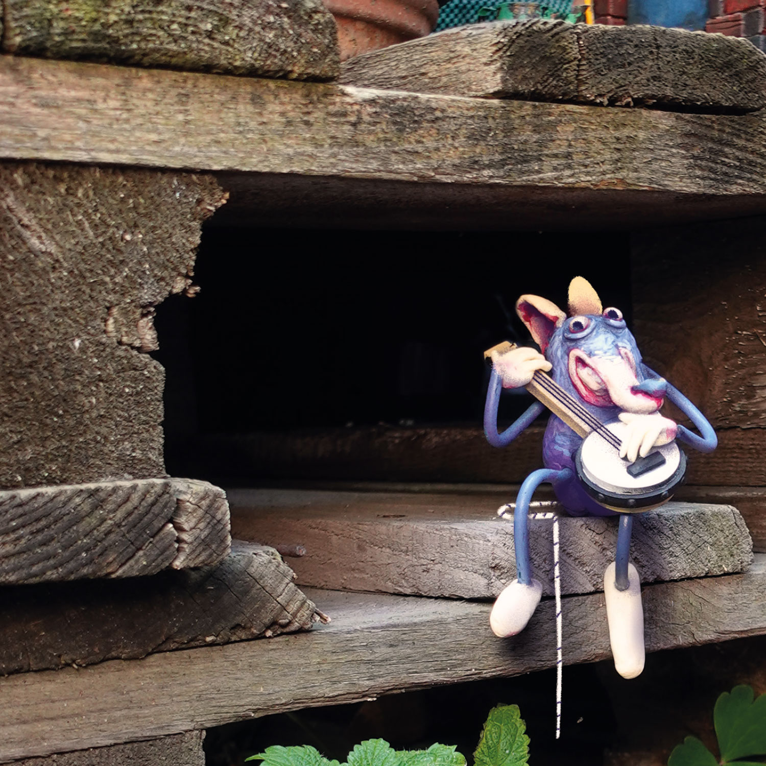 How mice live cat music