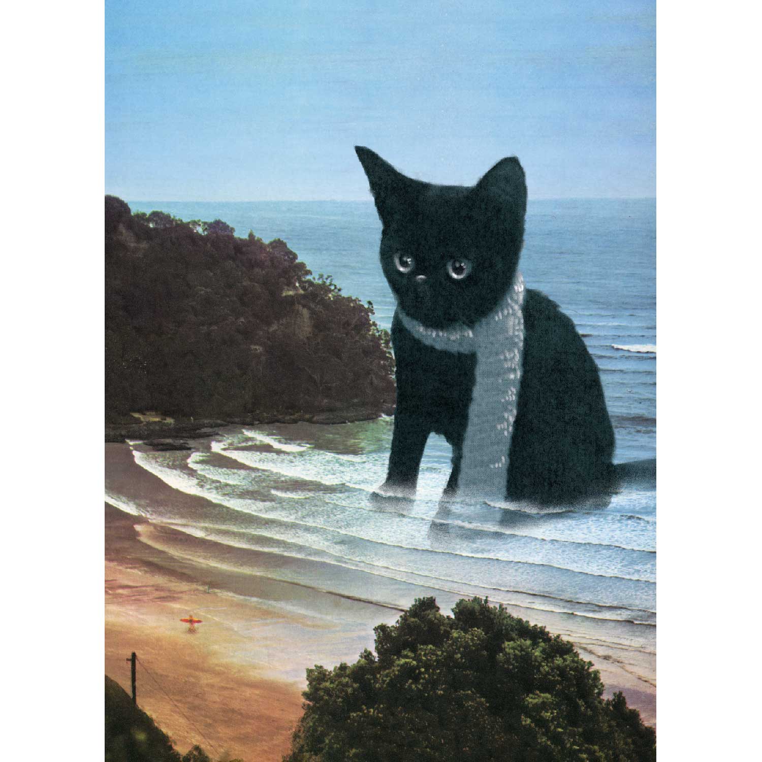 Beachcat