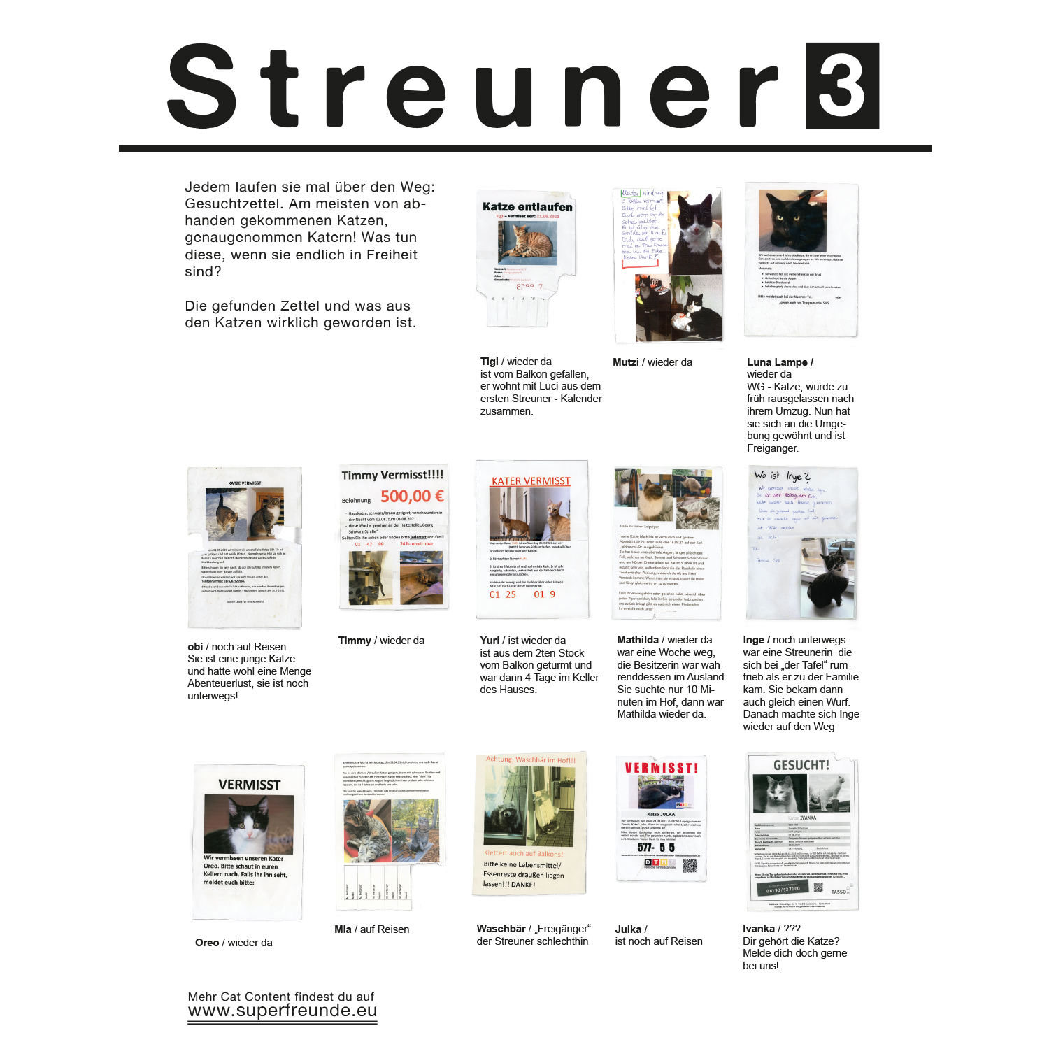 Streuner 2, Immerwährender Kalender A4