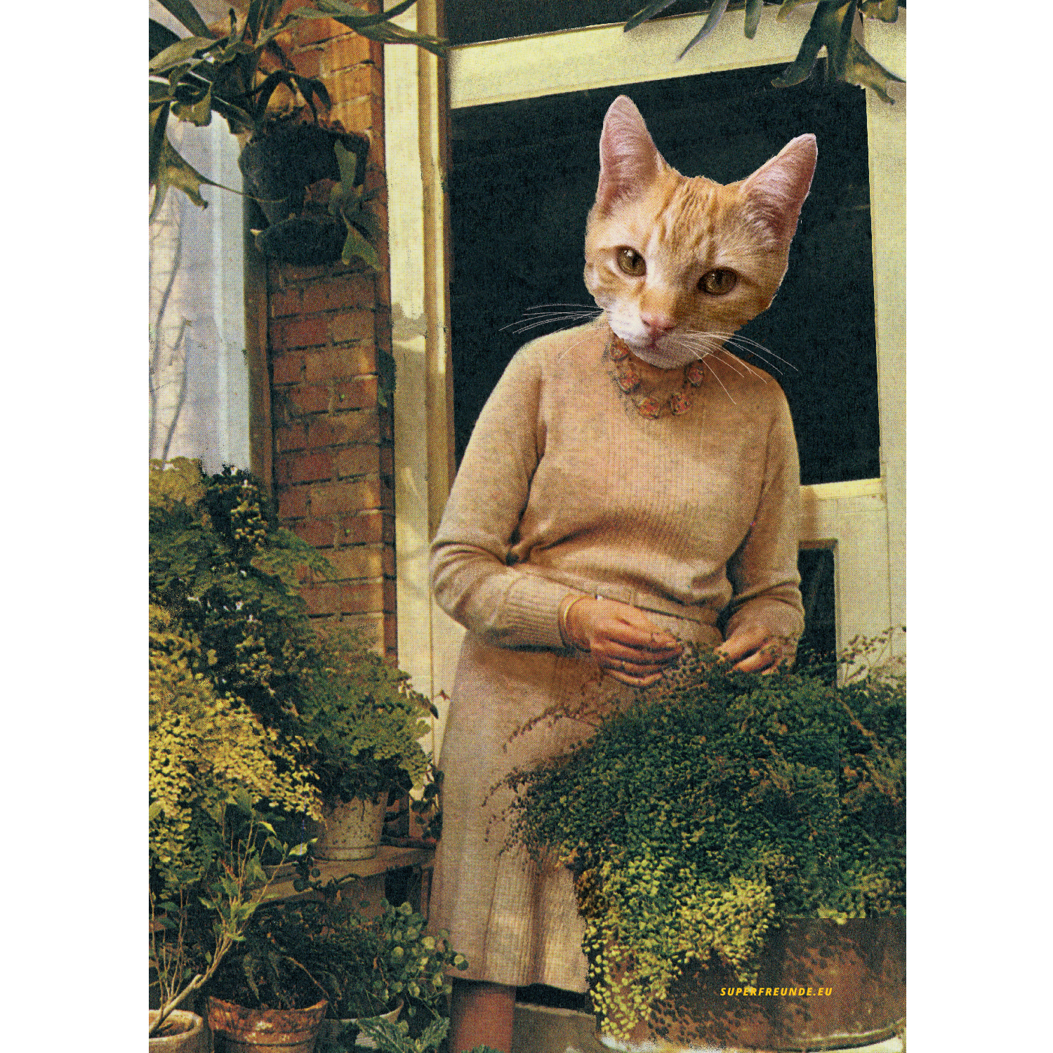 CatLady poster