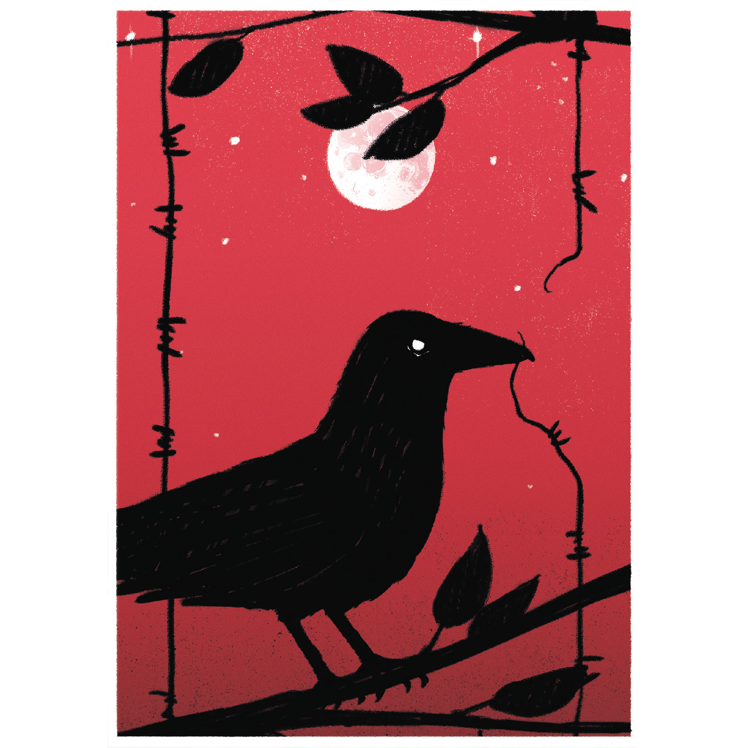 no cages, Postkarte