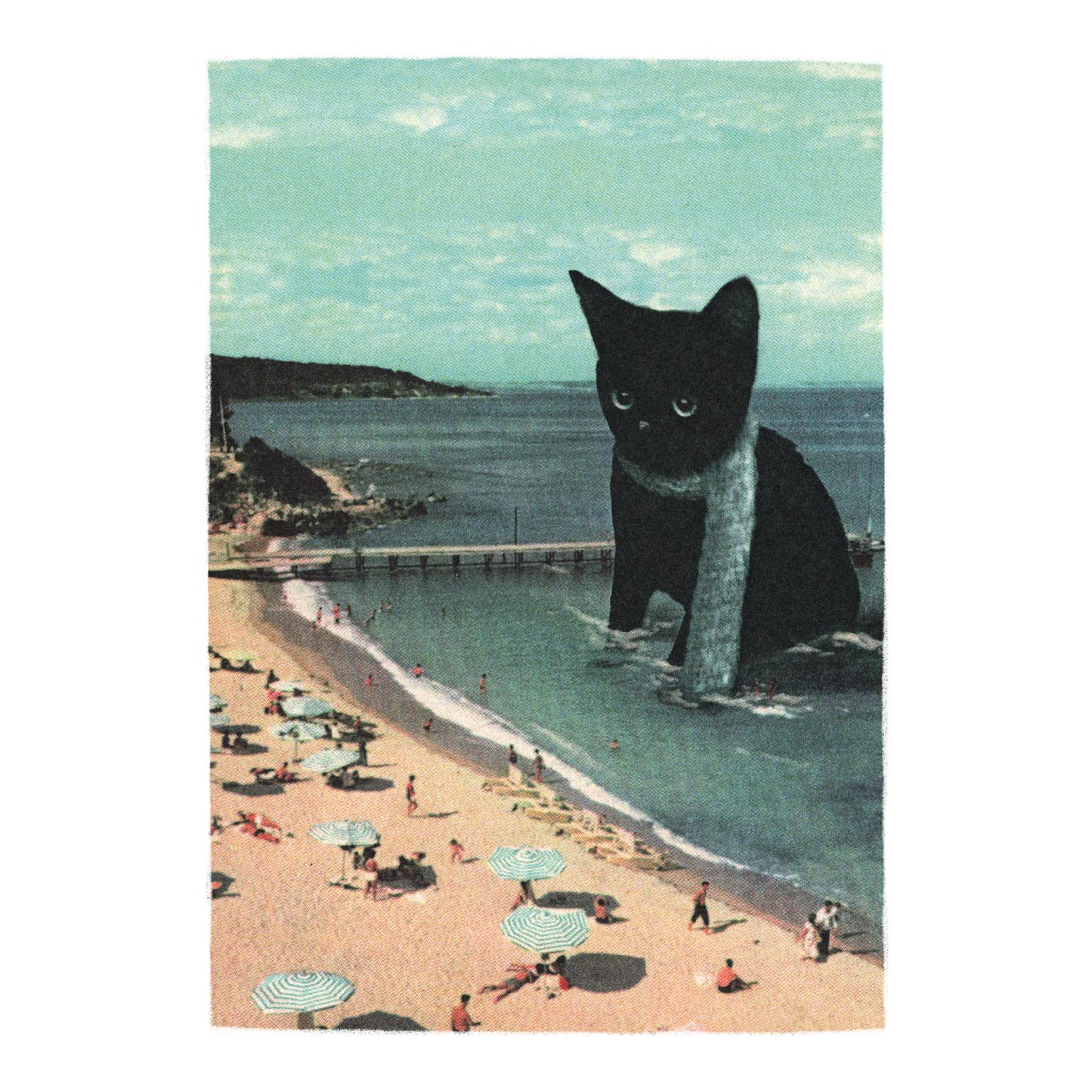 Streuner Strandkatze, Plakat A3 Streuner Strandkatze, Plakat A3