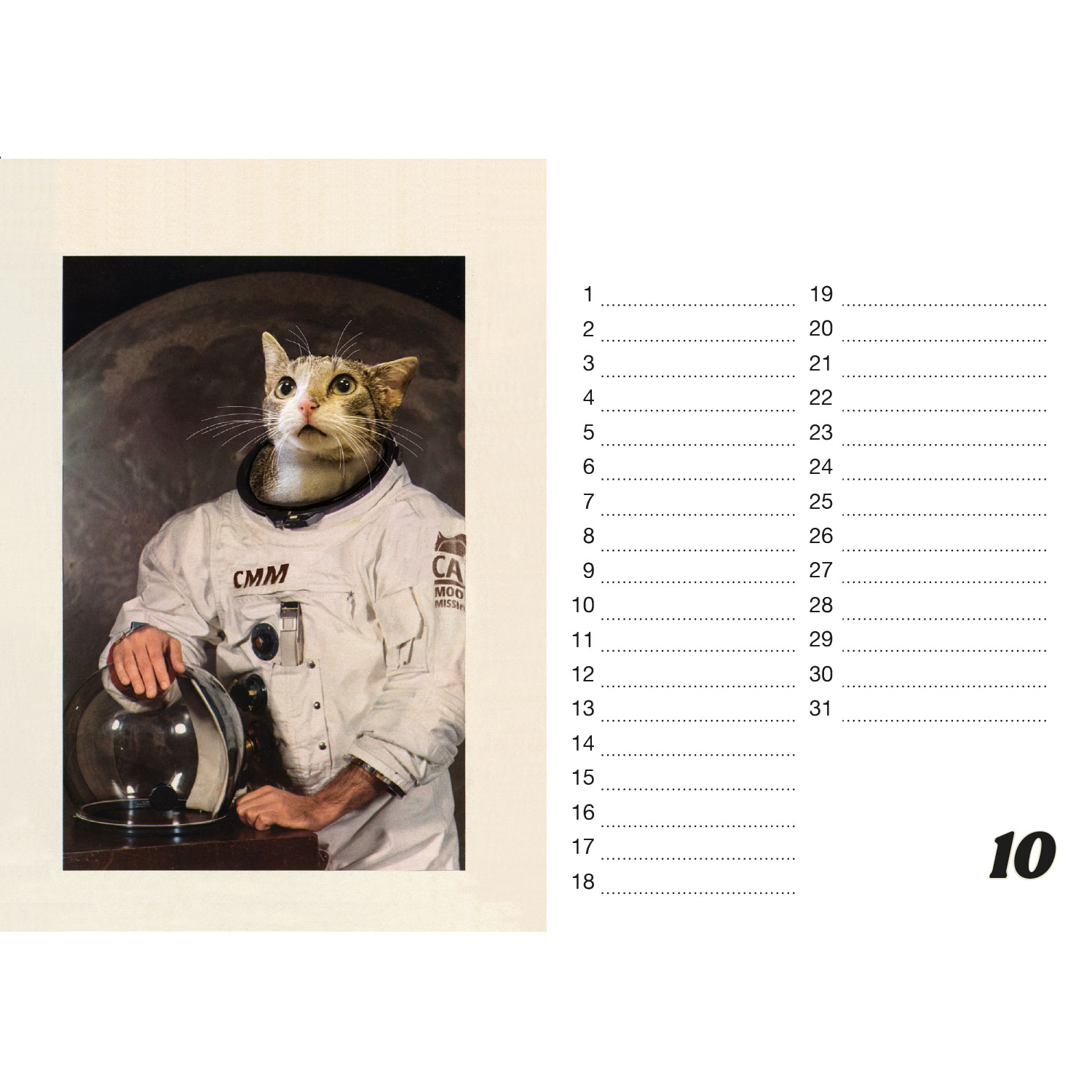 Streuner, Tischkalender A5 Querformat Streuner, Tischkalender A5 Querformat