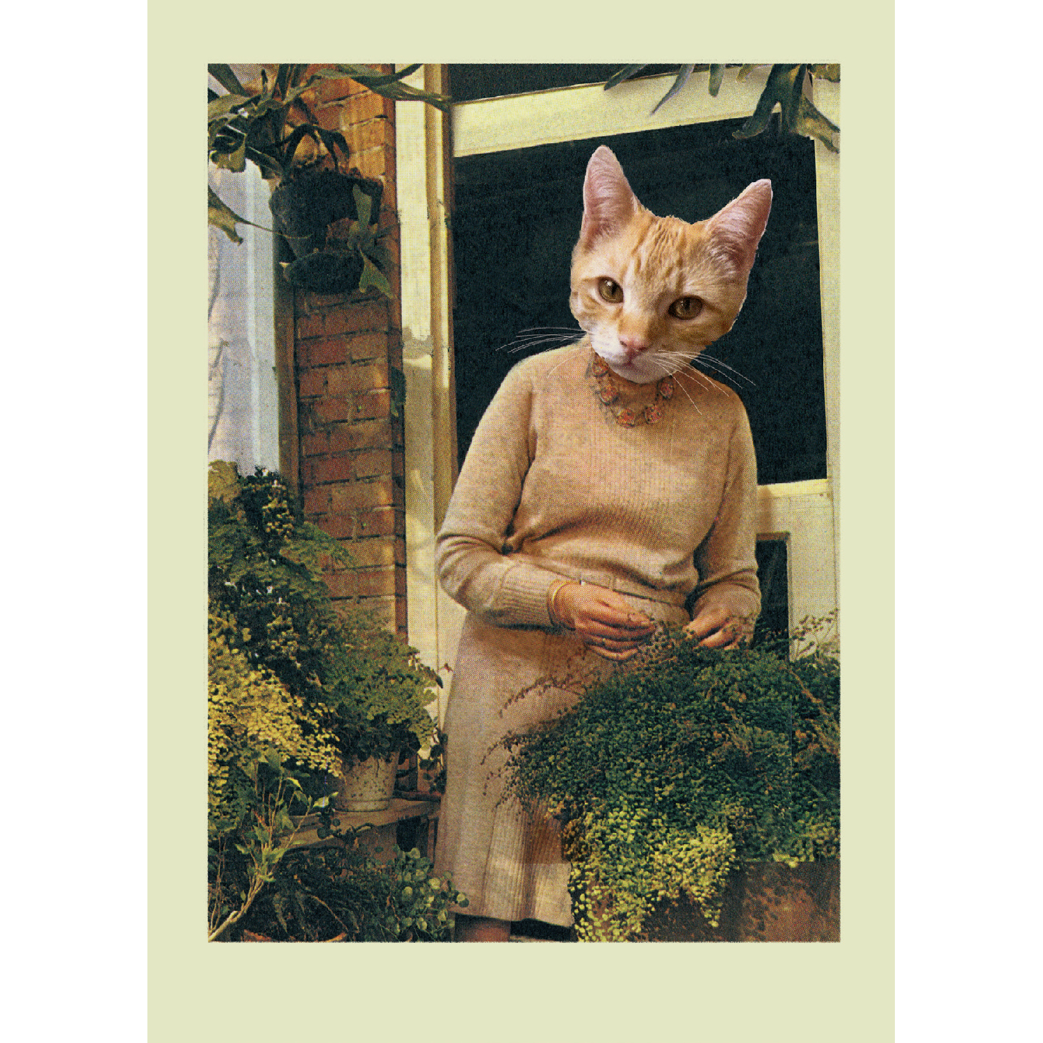 Cat Lady Postkarte