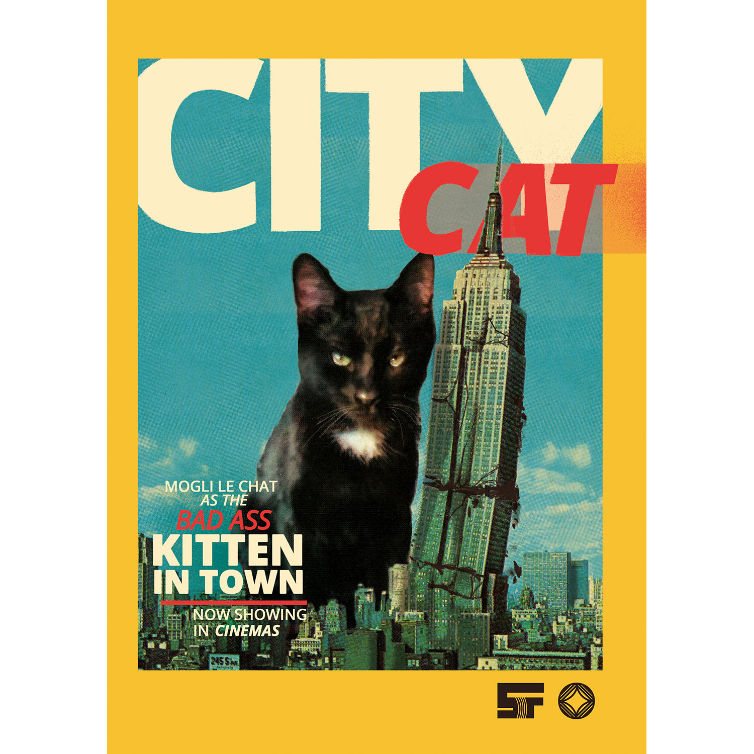 Stray Cat – City Cat, Postcard