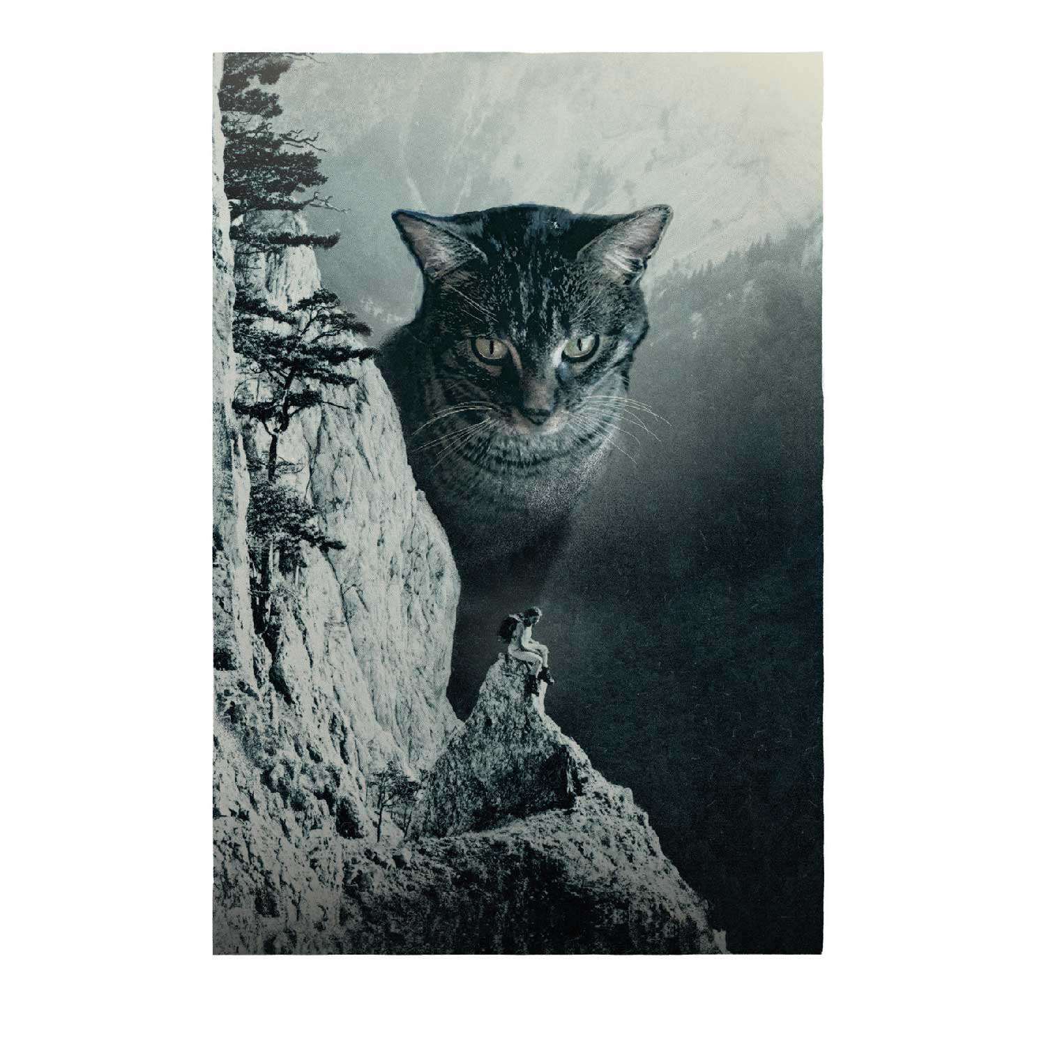 Katze am Berg