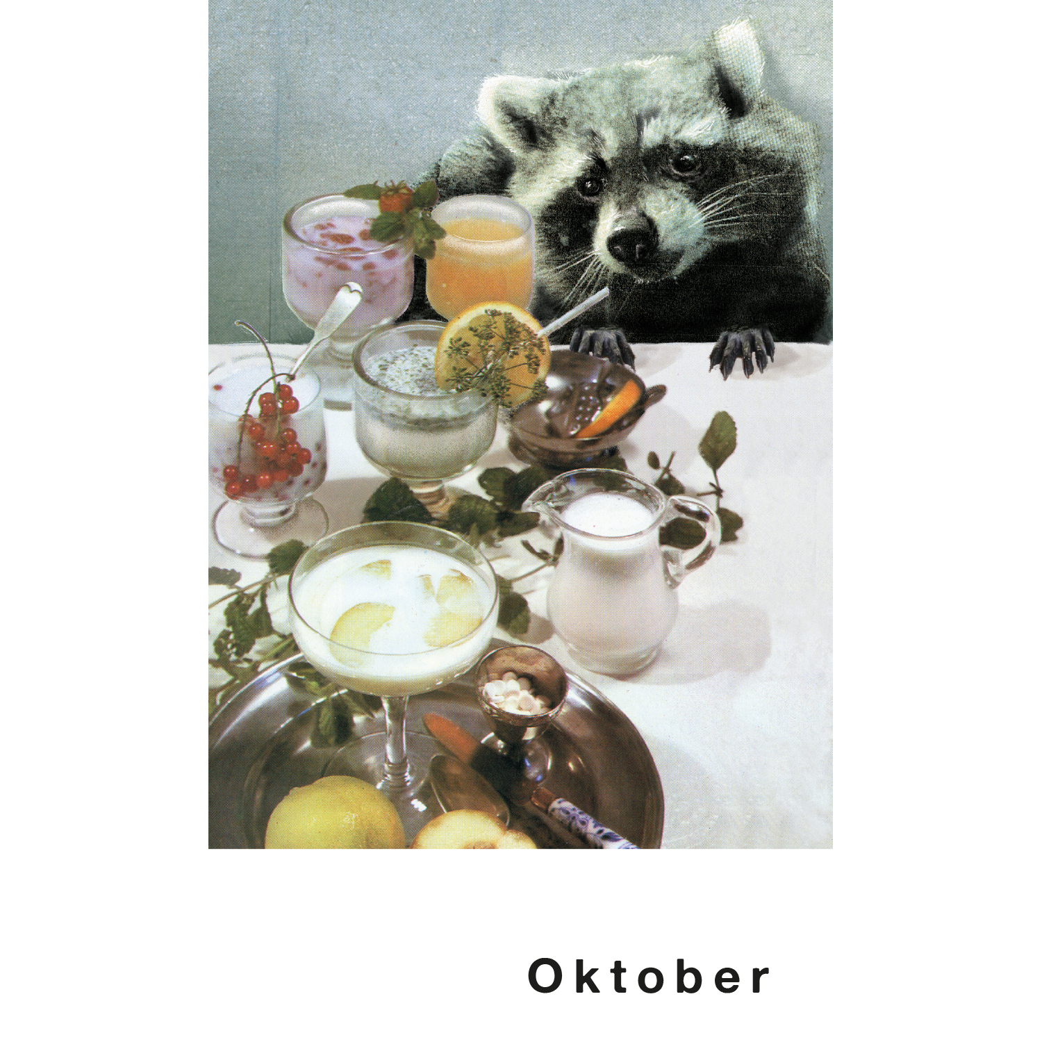 Streuner Teil 3 Postkartenkalender Streuner Teil 3 Postkartenkalender