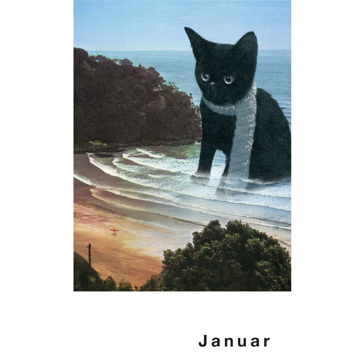 Streuner 4, Postkartenkalender Streuner 4, Postkartenkalender