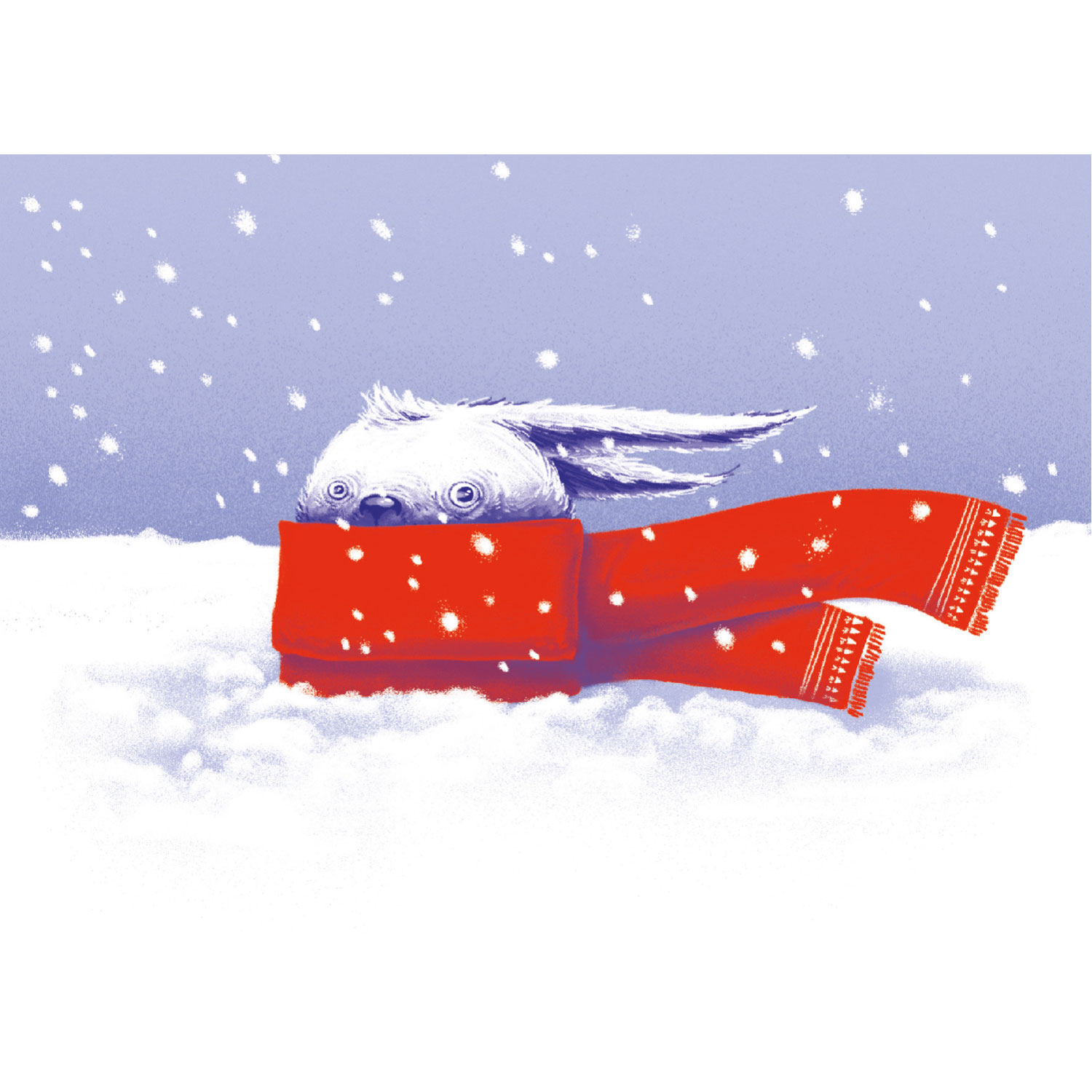 Snow bunny postcard 