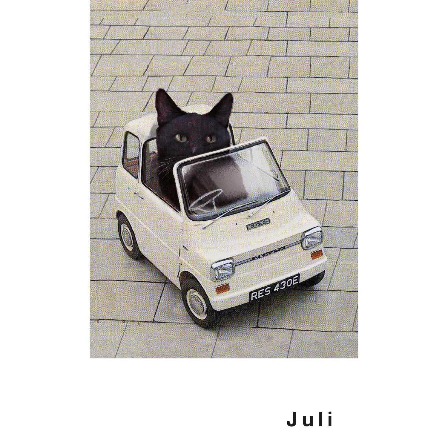 Streuner 4, Postkartenkalender Streuner 4, Postkartenkalender